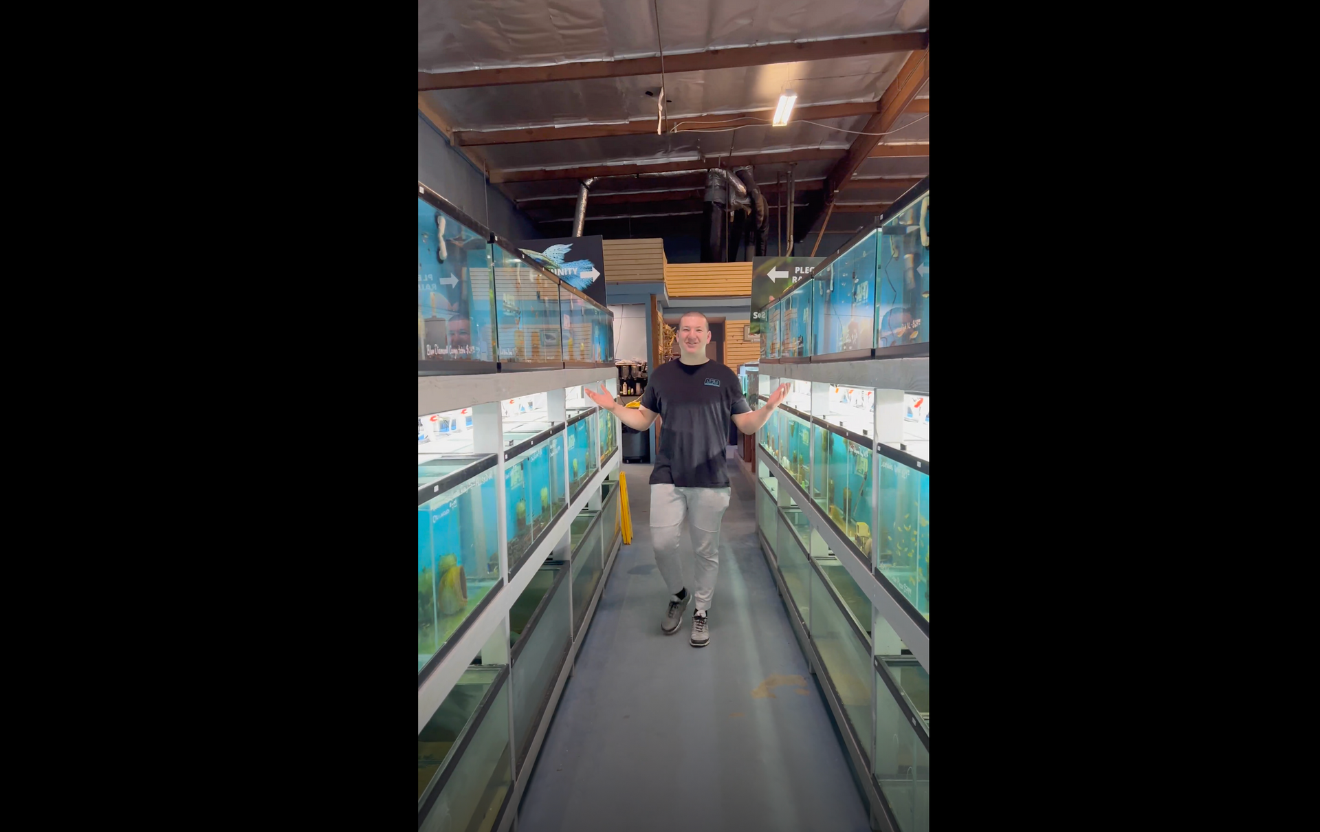 Load video: Ethan from team AFD explaining the QT quarantine process to ensure our fish are happy and healthy when they arrive to your door.